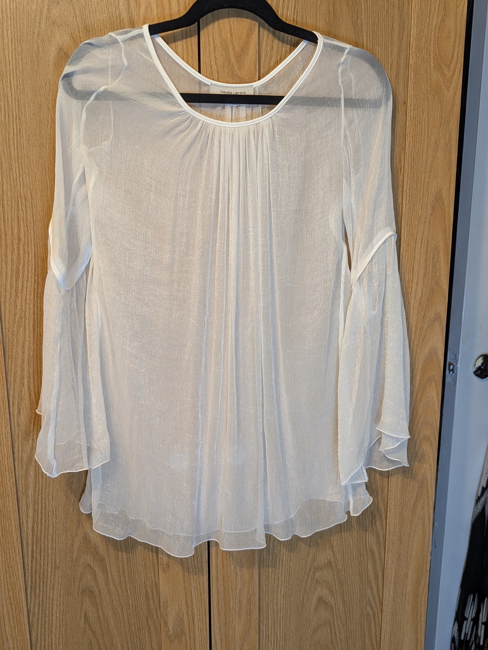Light Ivory Sheer Ruffle Sleeve Blouse - Unbranded